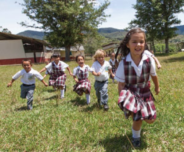 La Dirección de Pedagogía socializó los lineamientos de transito armónico con Secretarios de Educación y Jefes de Núcleo