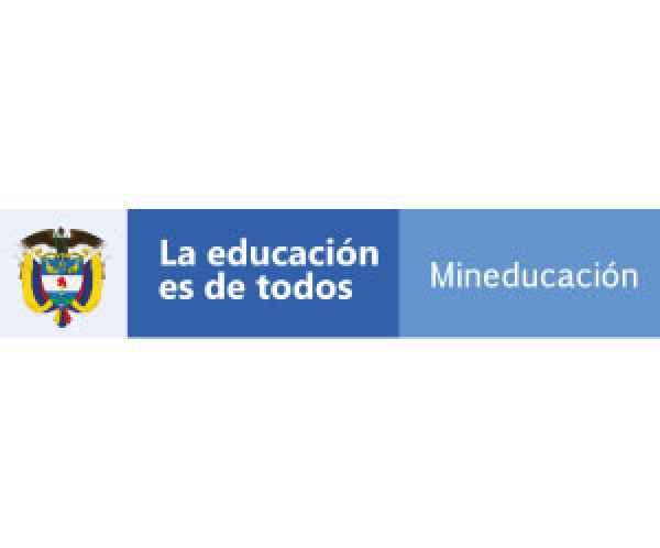 Directiva Ministerial No 7