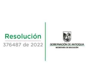 Resolución 376487 de 2022