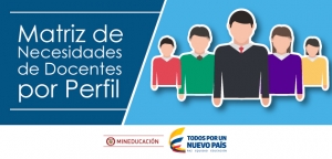 Matriz de Necesidades de Docentes por Perfil