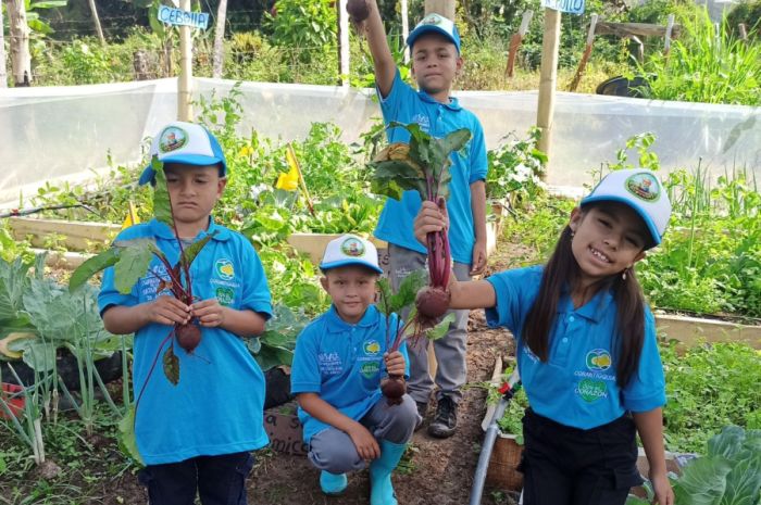 Antioquia fortalece la sostenibilidad y educación ambiental en las aulas con la iniciativa de Ecoescuelas